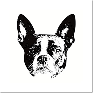 Boston gift for Boston Terrier Owners Posters and Art